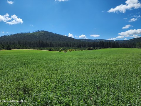75 Acres in Desmet, Idaho