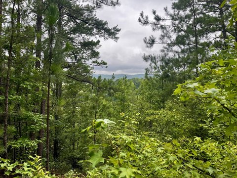 LAND - Columbiana, AL