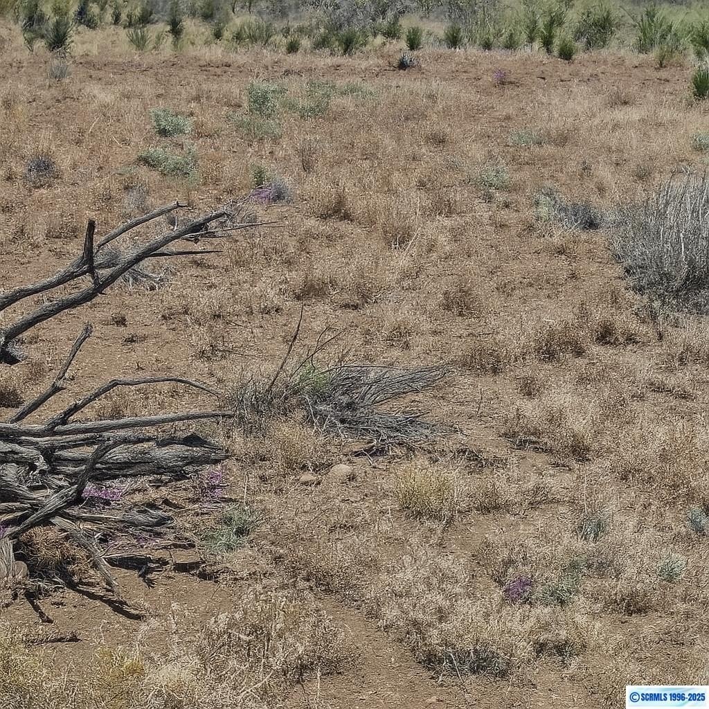 San Lorenzo Land For Sale