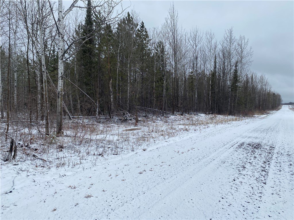 80 Acres of Forestland