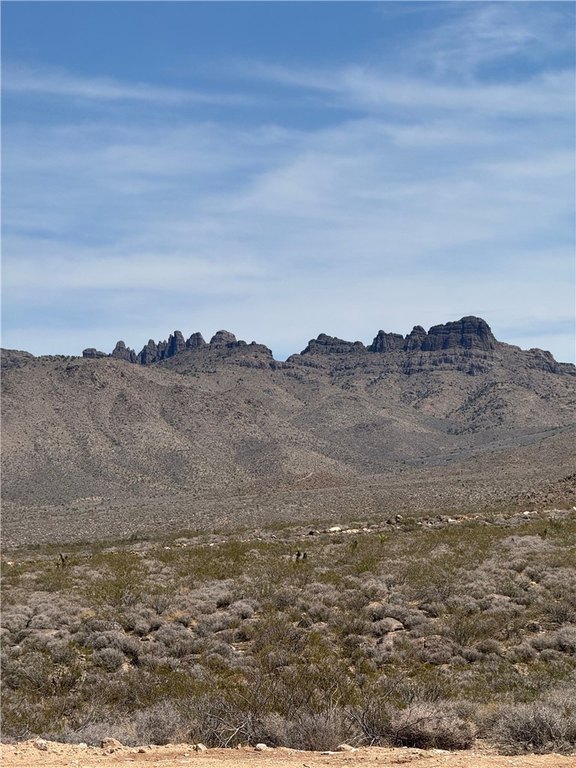 Picture 10