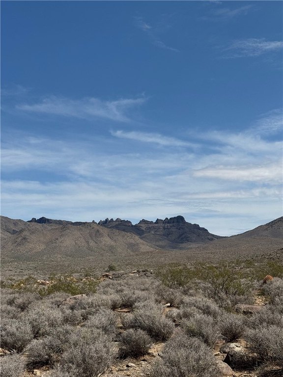 Picture 21