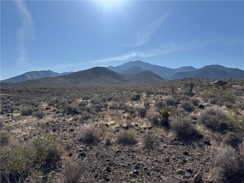 LAND - Dolan Springs, AZ