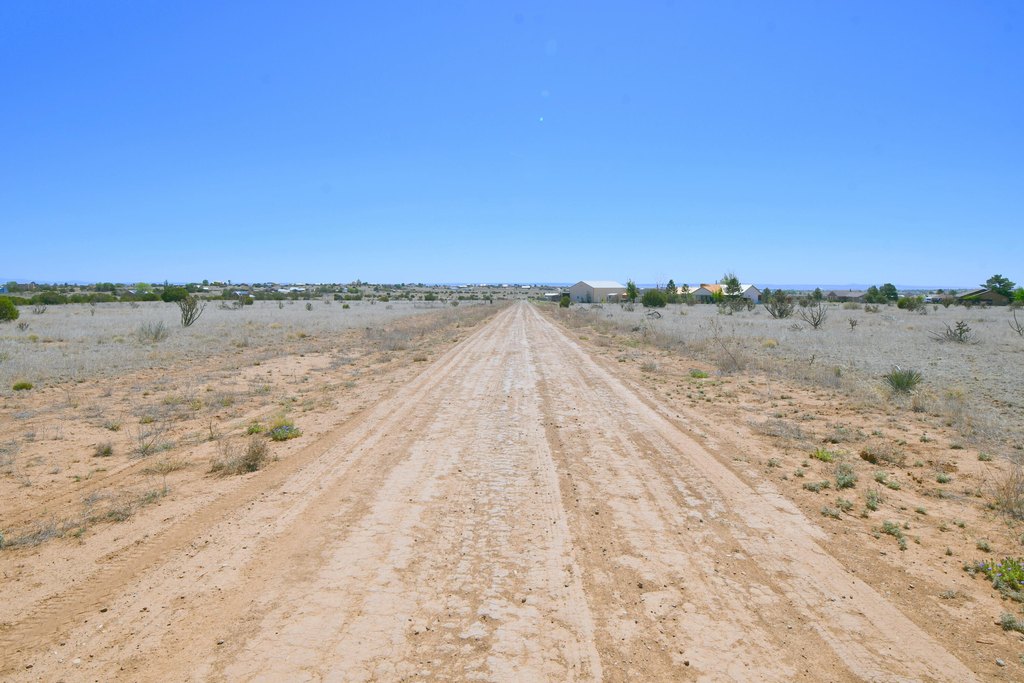 Picture 8