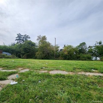 Detroit Land For Sale
