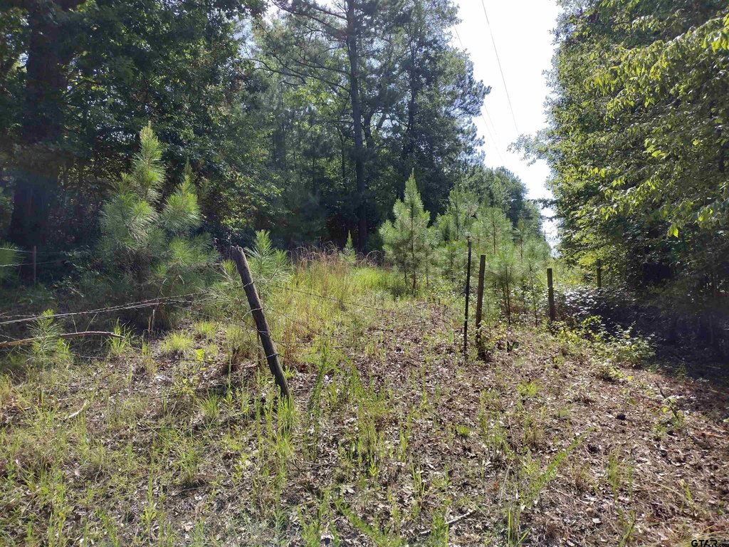 Picture 5