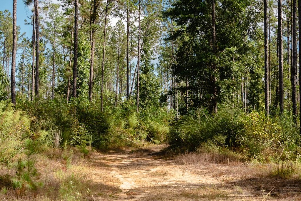 Picture 34