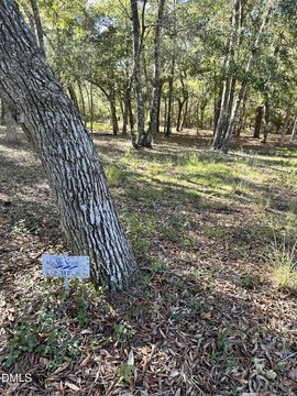 Land, Supply, NC