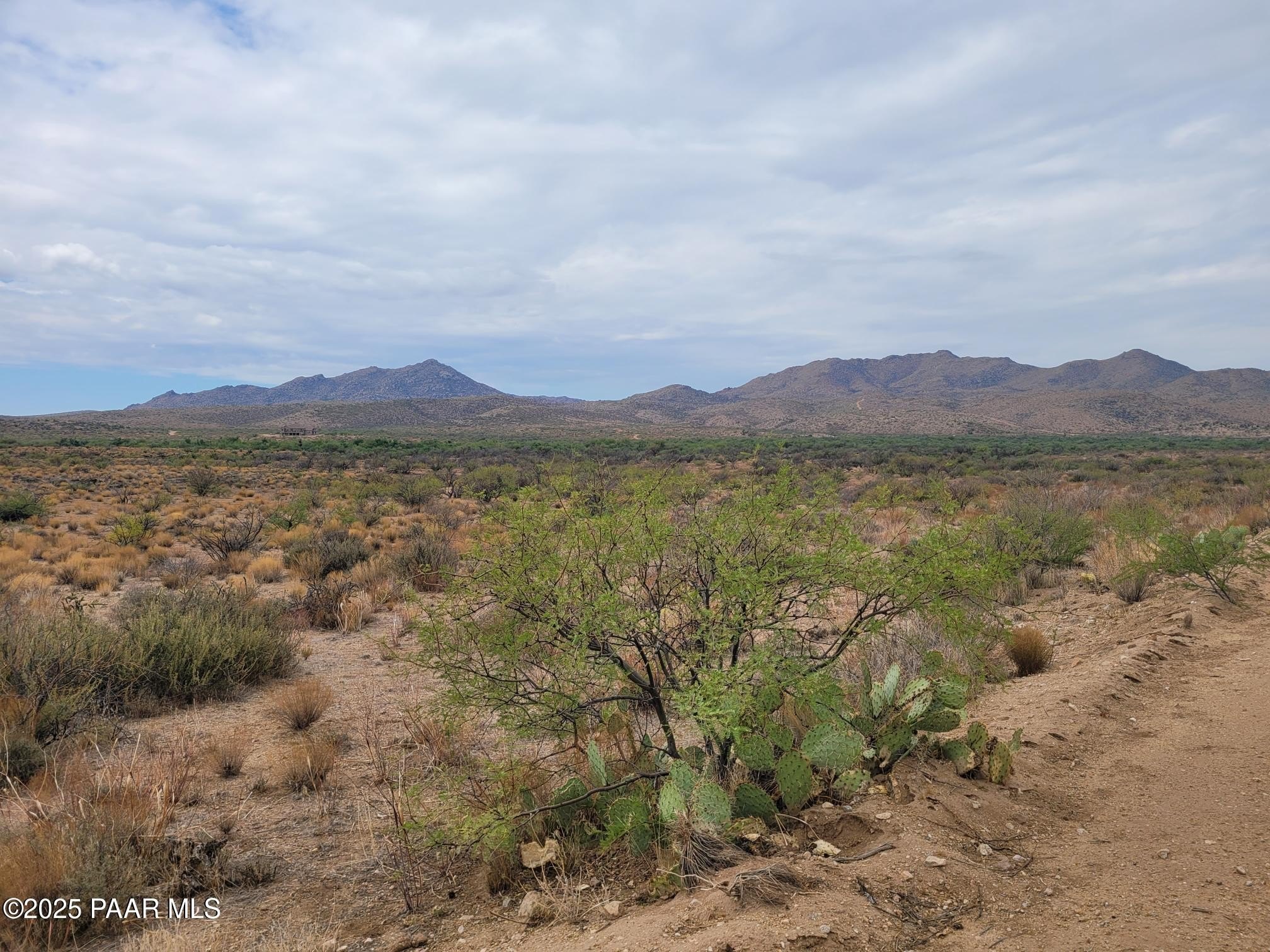 83+ Acres of Pristine Desert Land