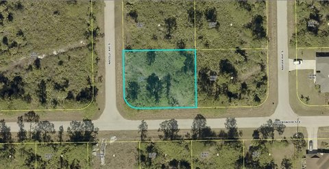 Vacant Lot in Lehigh Acres