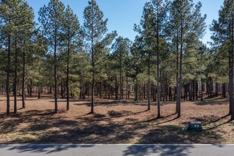 Land in Gated Mountain Community