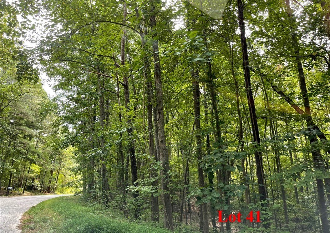 Heathsville, VA Building Lot
