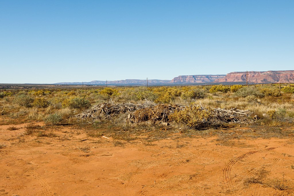 Picture 20