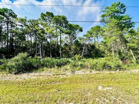 Eastpoint, Florida Land Opportunity
