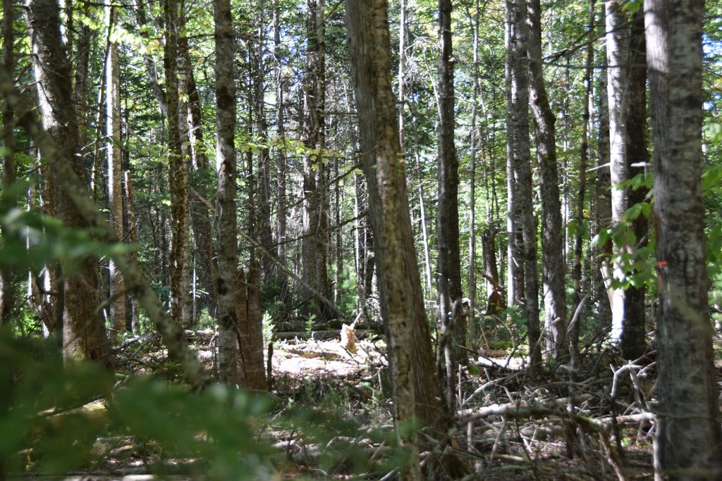 Picture 16