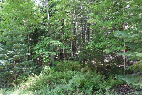 Land, Athens, ME