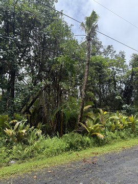 Vacant Residential Lot in Subdivision