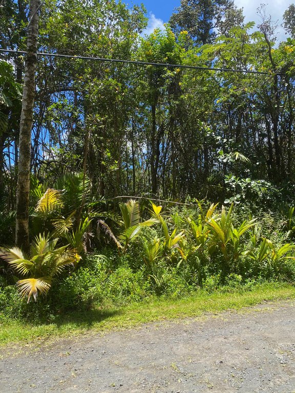 Picture 10