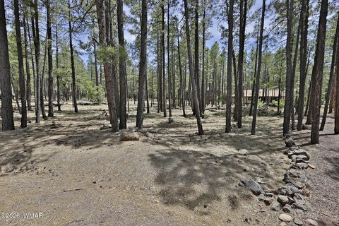 Land, Pinetop, AZ