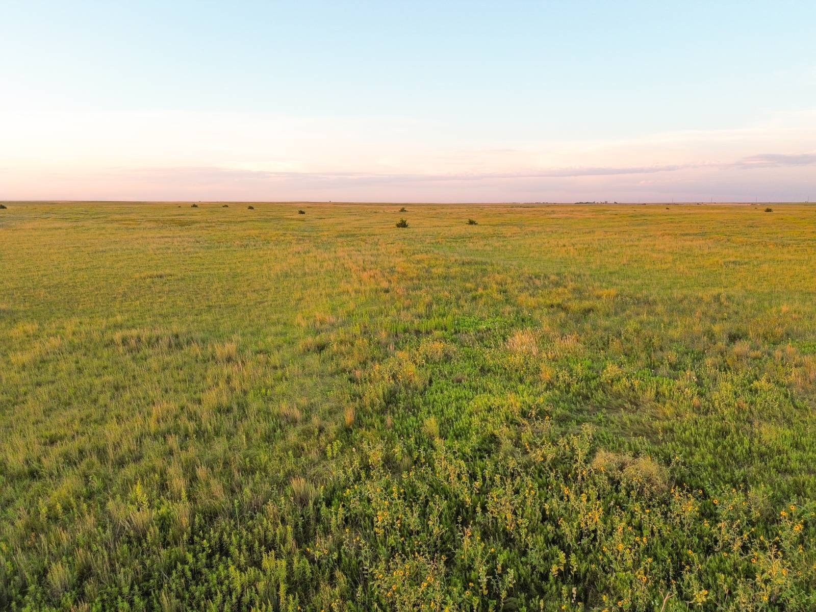 Pawnee County Grassland for Sale