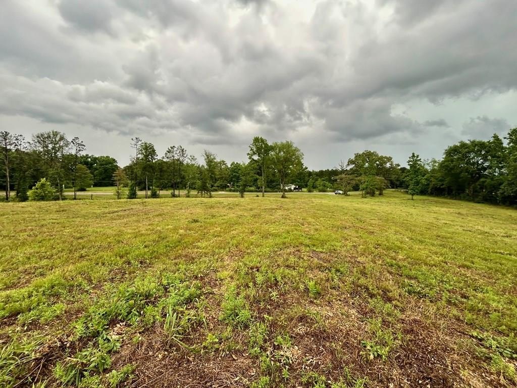 13 Acres Near Holly Springs