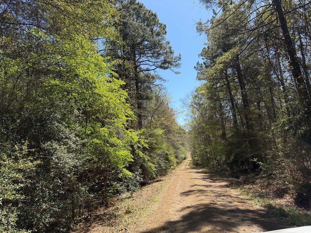 Picture 24