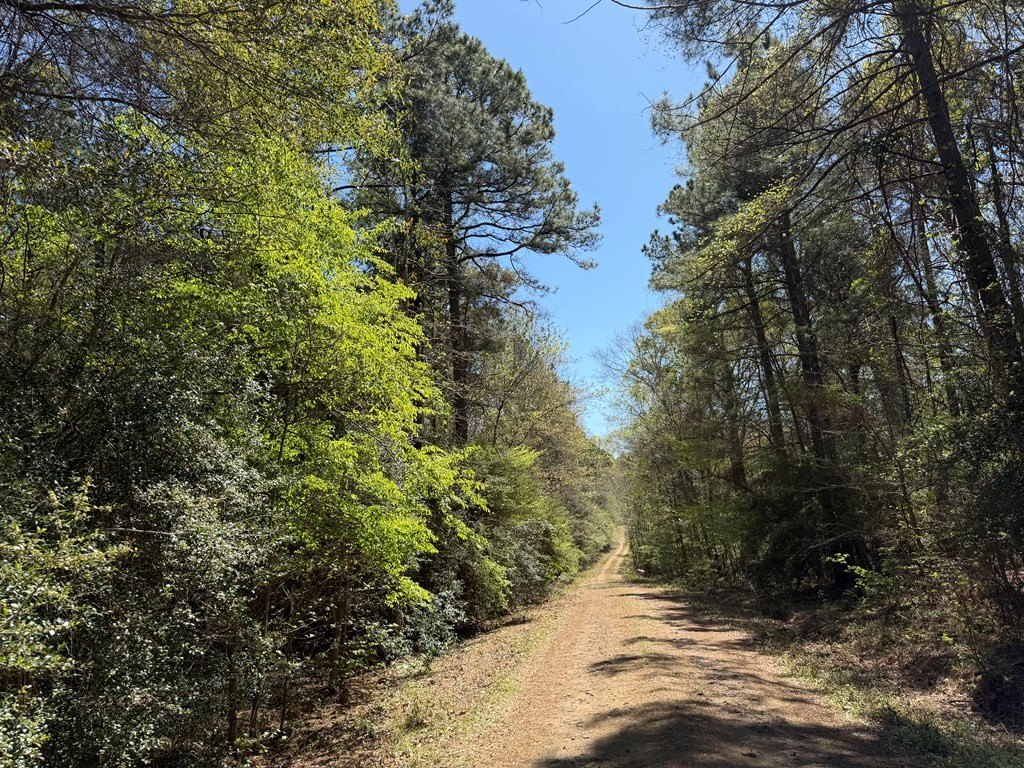 Picture 25
