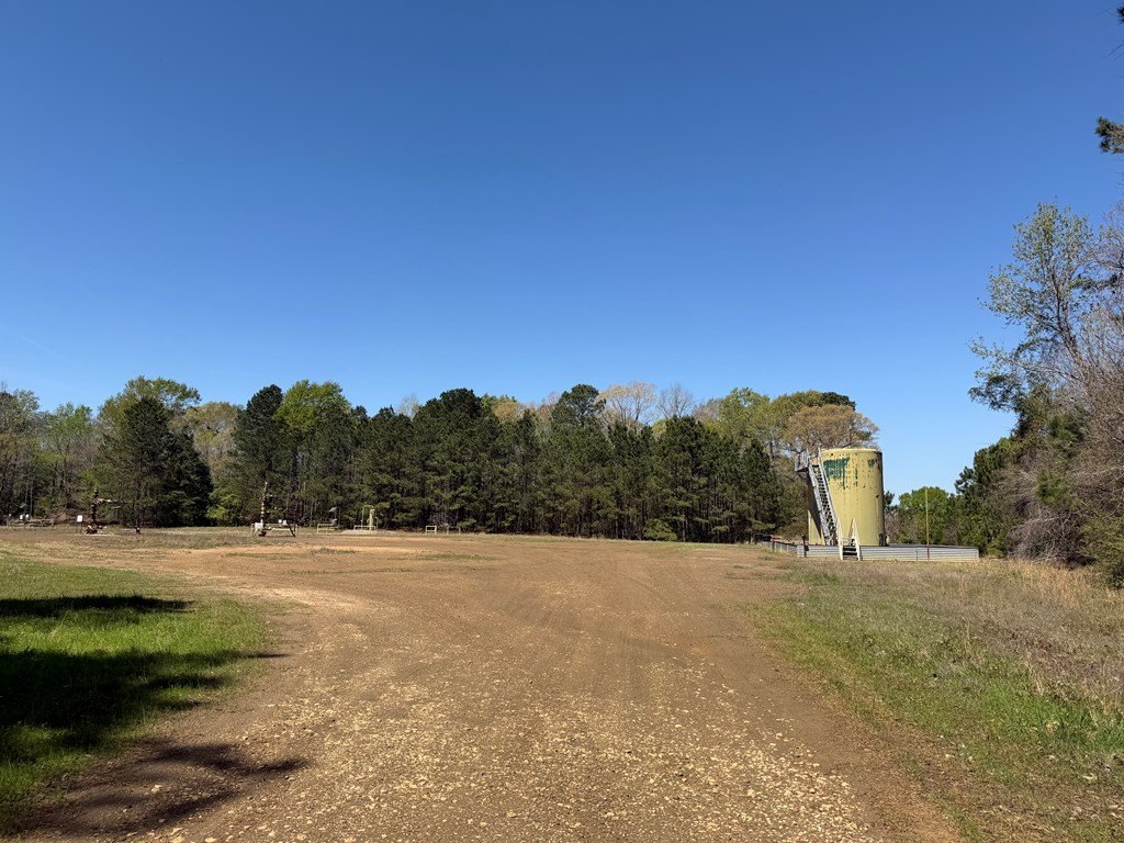 Picture 16