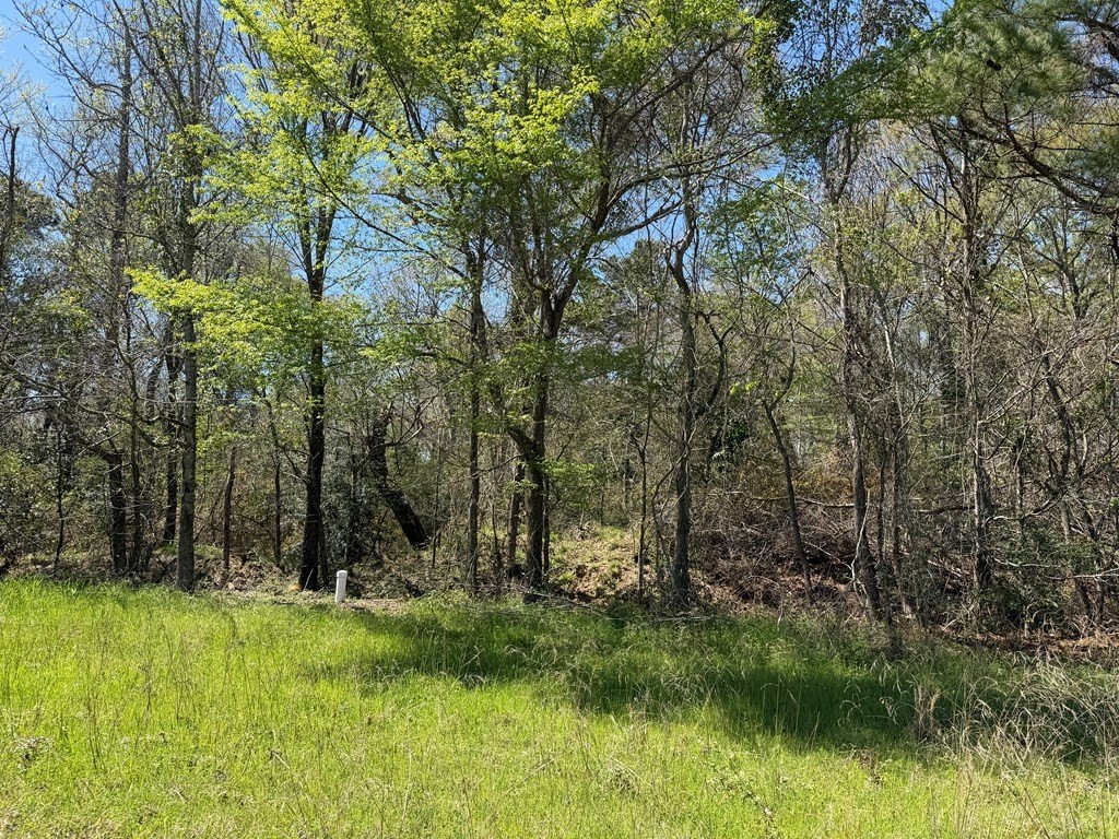Picture 23