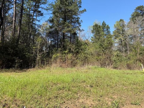 82 Acres Near Toledo Bend