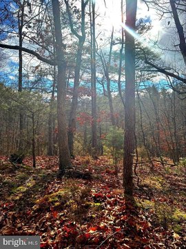 LAND - BASYE, VA