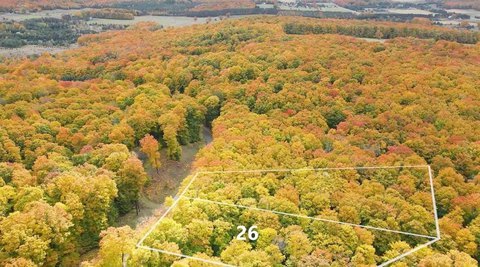 Secluded Hardwood Forest Homesite