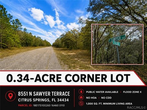 LAND - Citrus Springs, FL