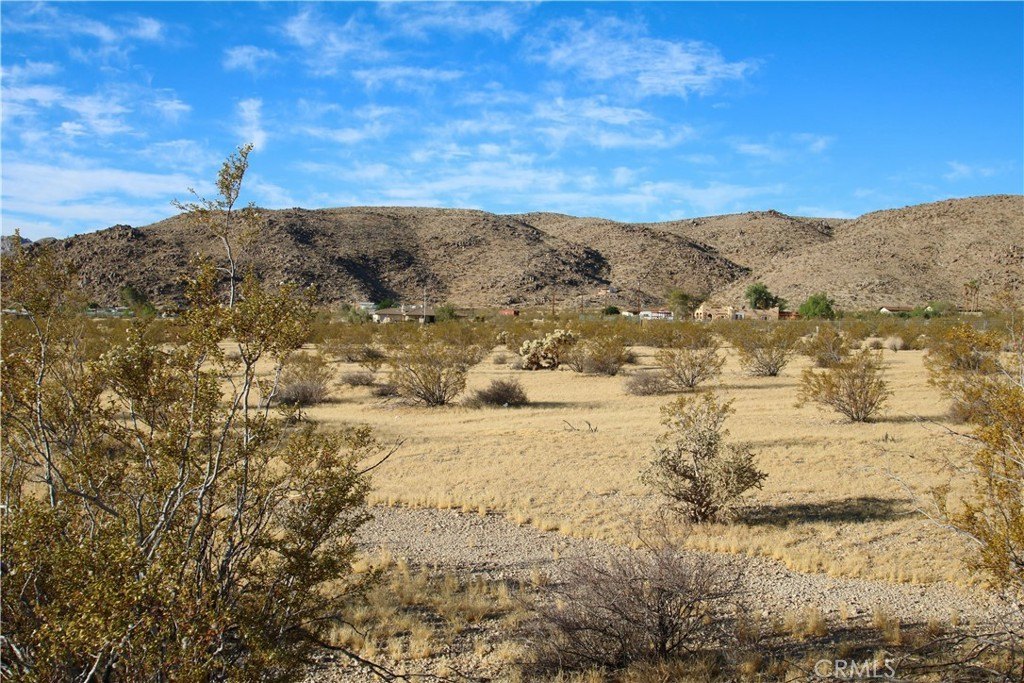 Picture 8