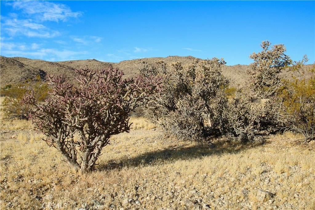 Picture 9