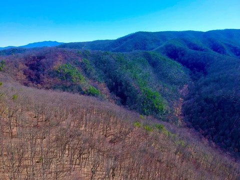 Land, Sevierville, TN