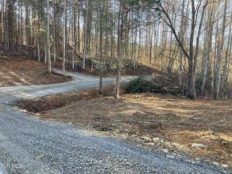 Wooded Land Near Medical Centers