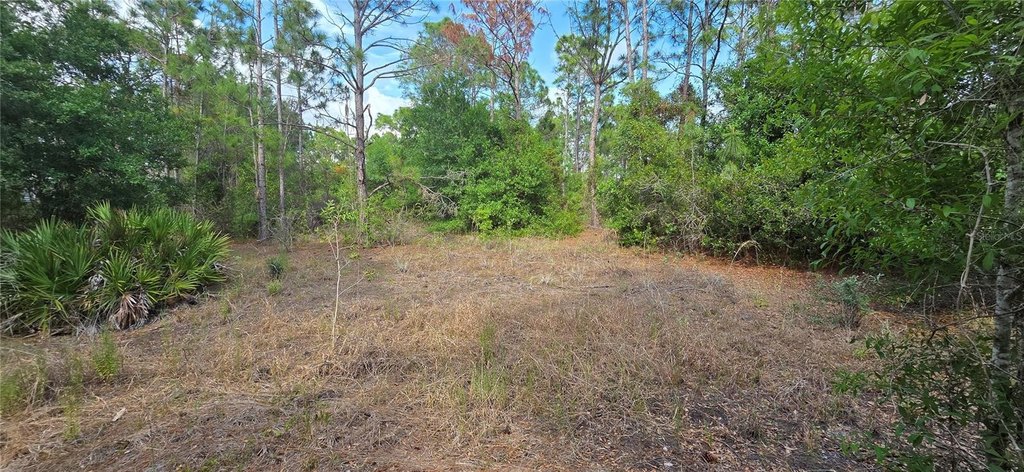 Picture 2