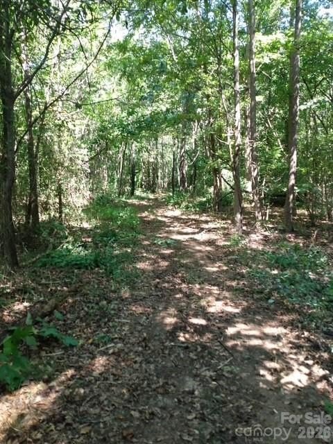 Picture 18