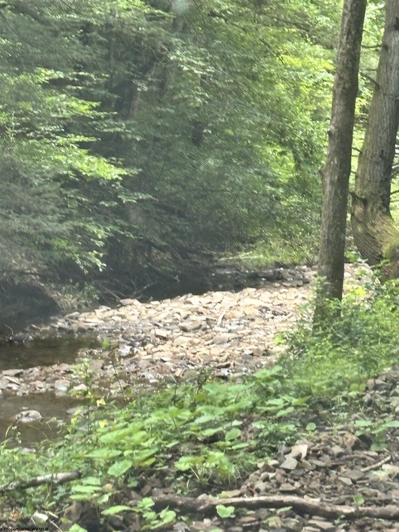 Picture 17