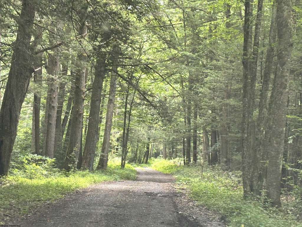 Picture 16