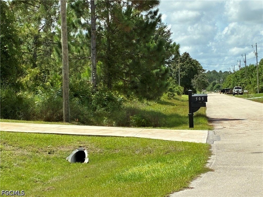 Picture 2