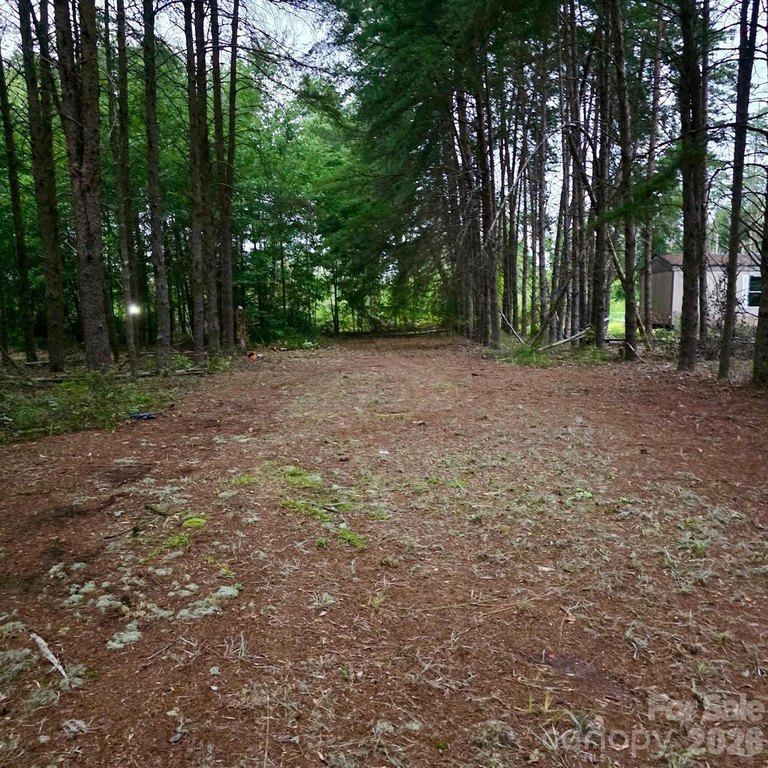 Picture 3
