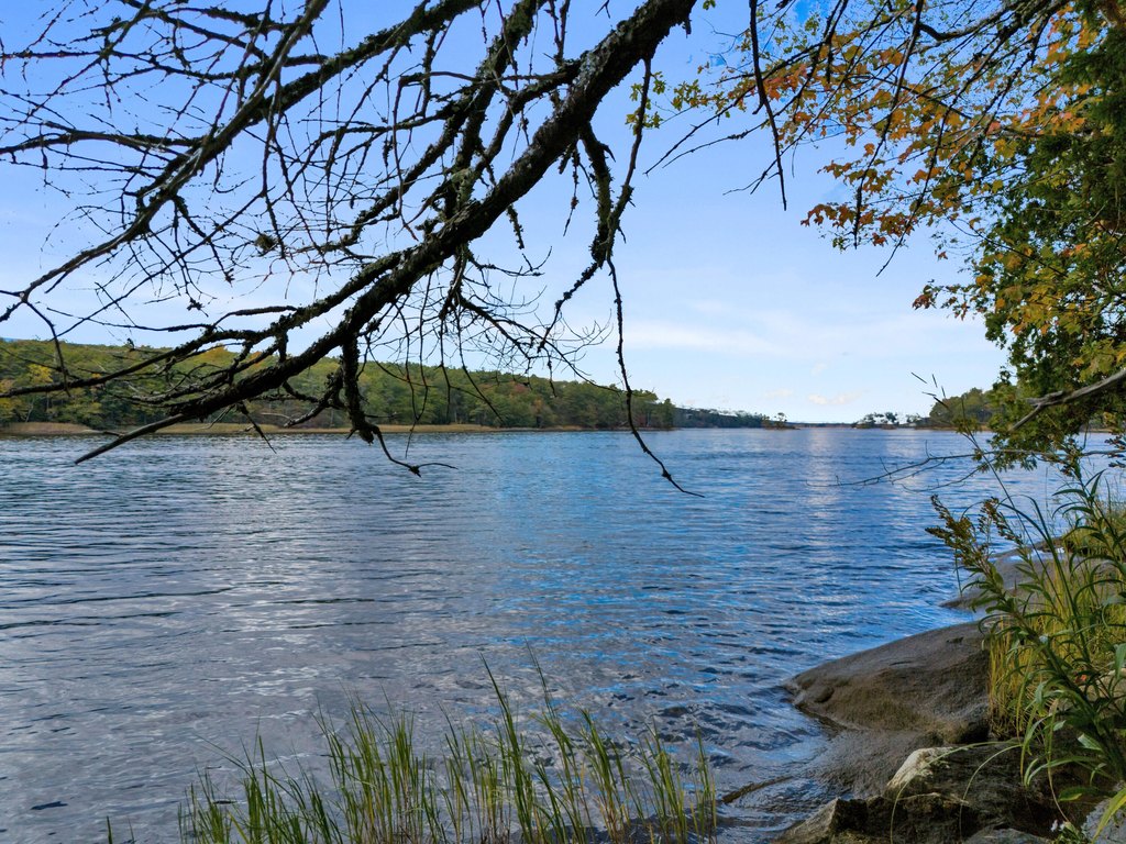 Picture 40
