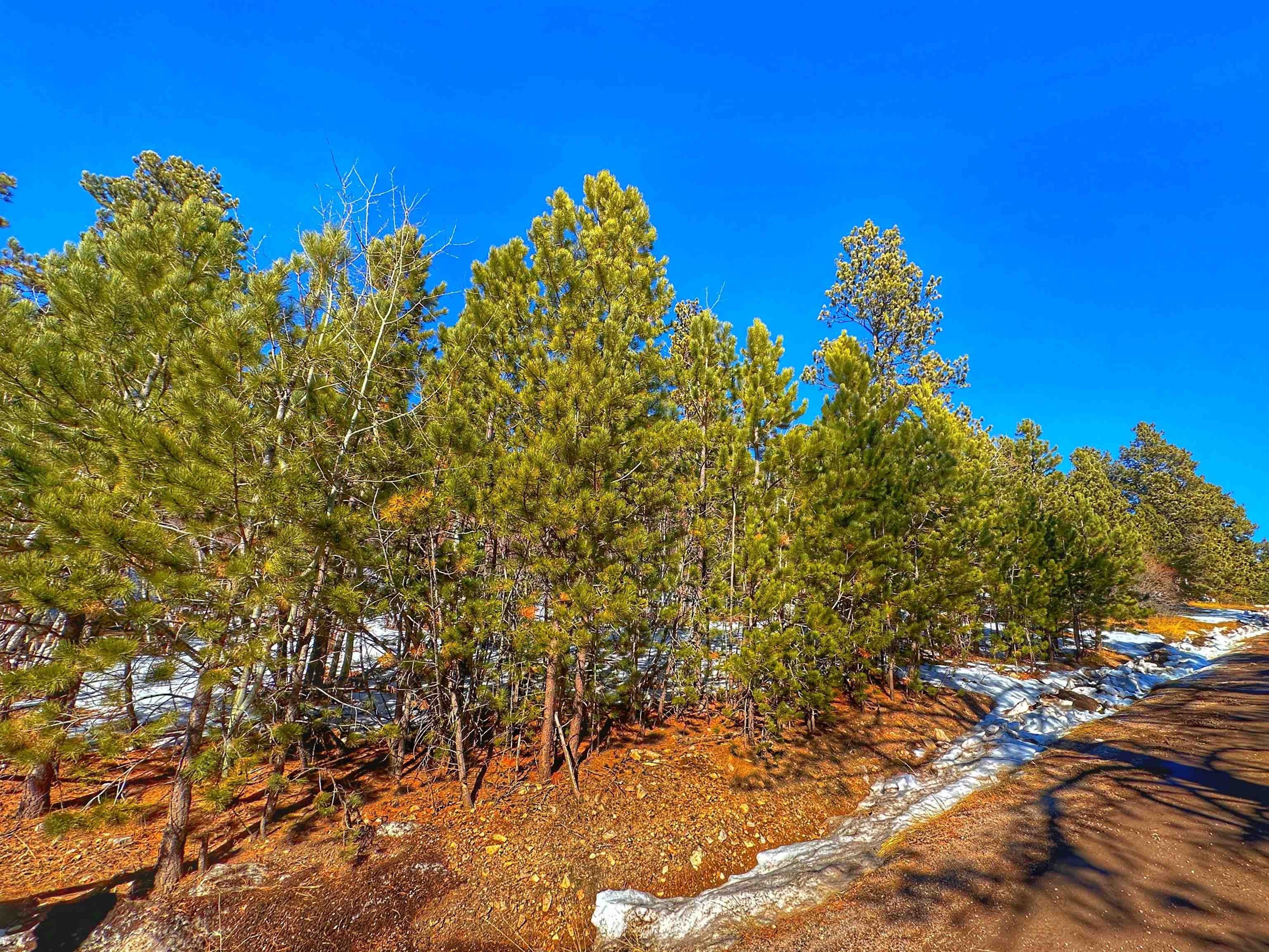 Land Near Terry Peak Ski
