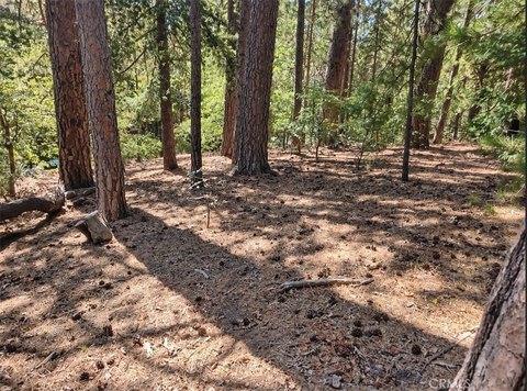 Land, Lake Arrowhead, CA