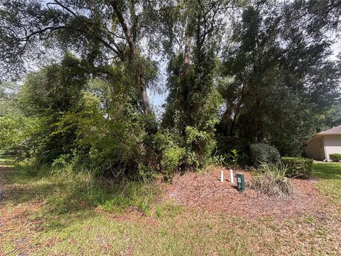 Land, DUNNELLON, FL