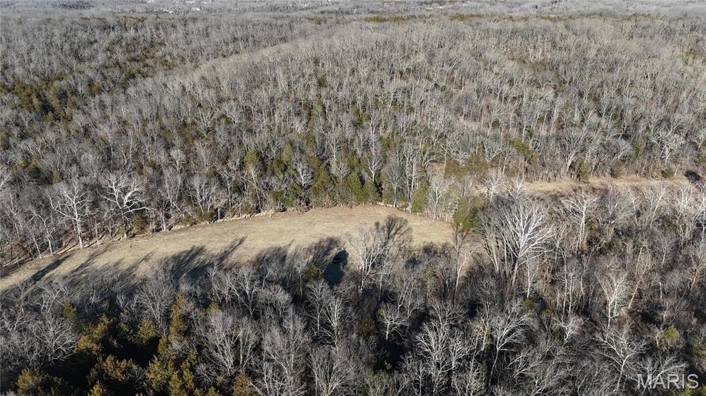 10-Acre Wooded Land Parcel