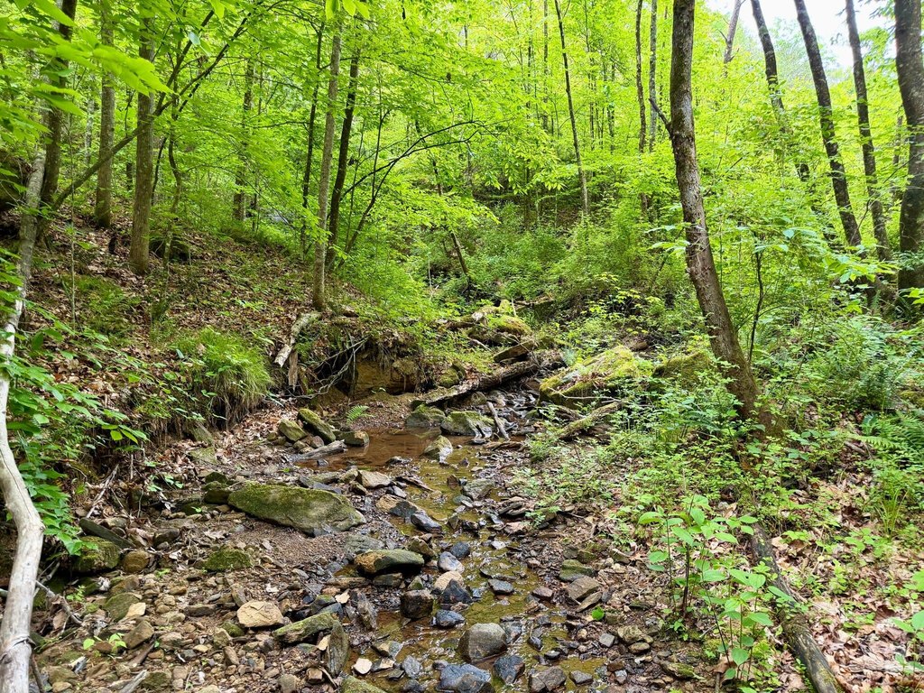 Picture 14