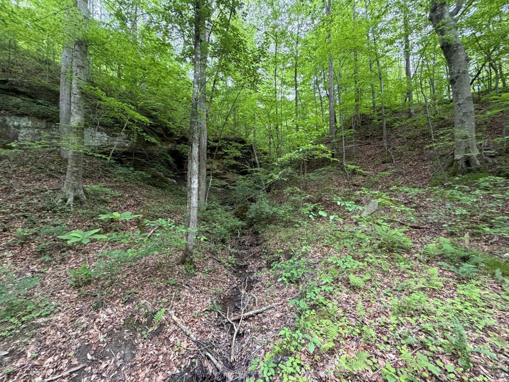 Picture 13